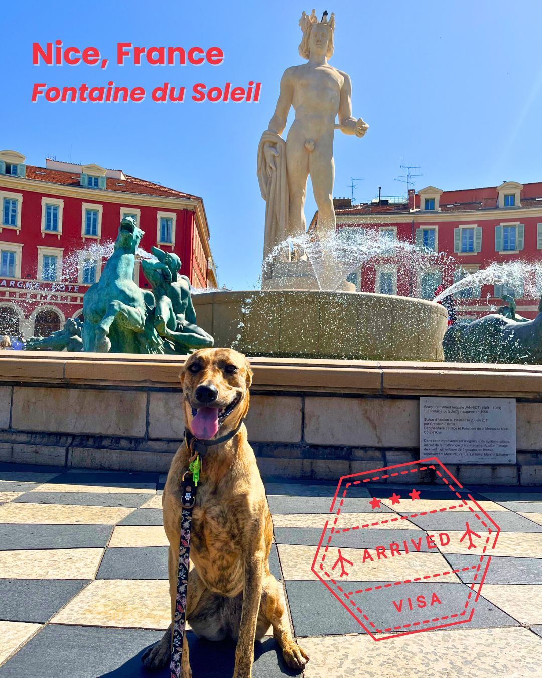 Dog in front of the Fountain of the Sun, Place Masséna, Nice